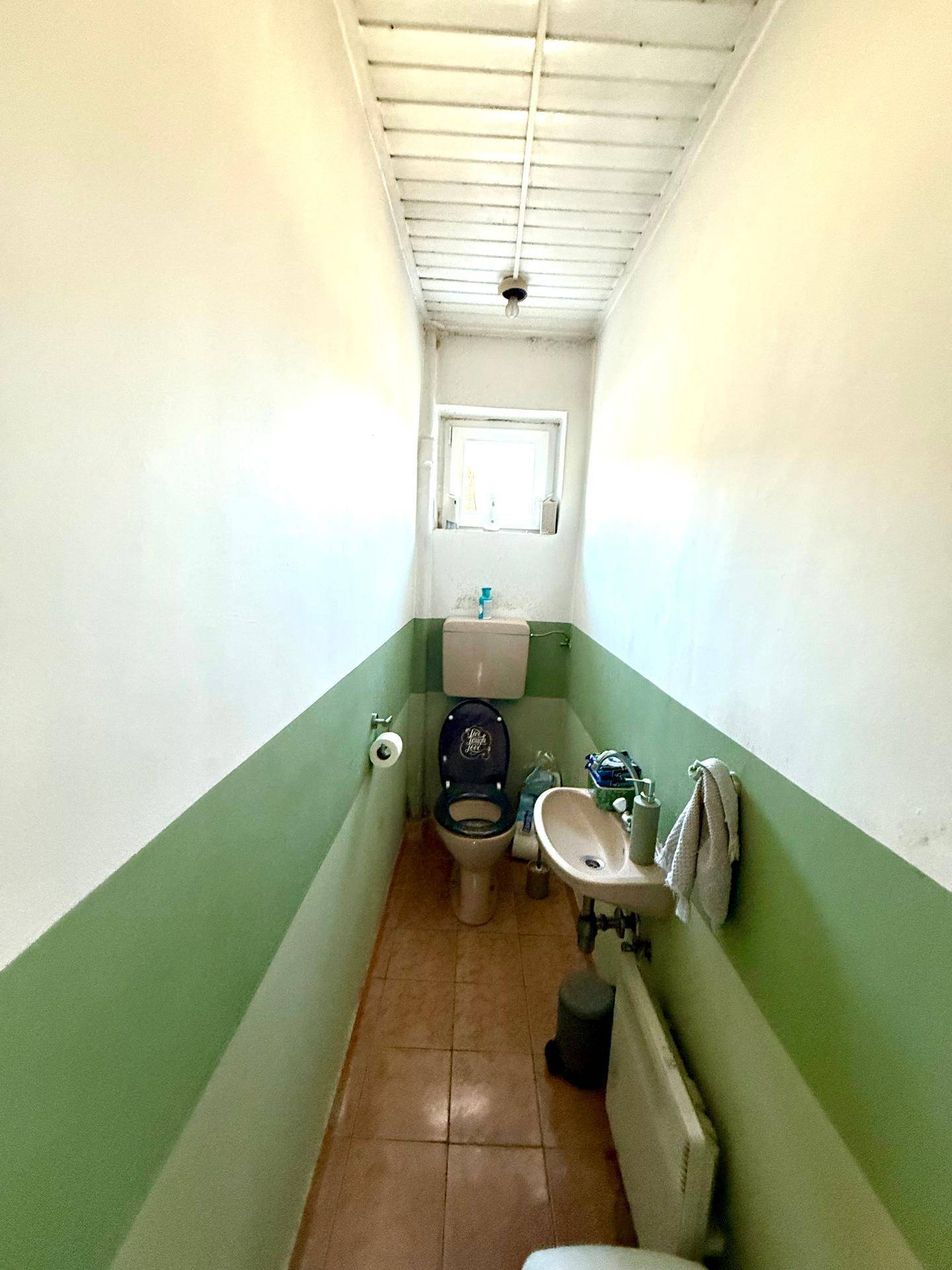 Einfaches Gäste-WC mit Fliesenboden und grün gestrichenen Wänden, funktional ausgestattet.