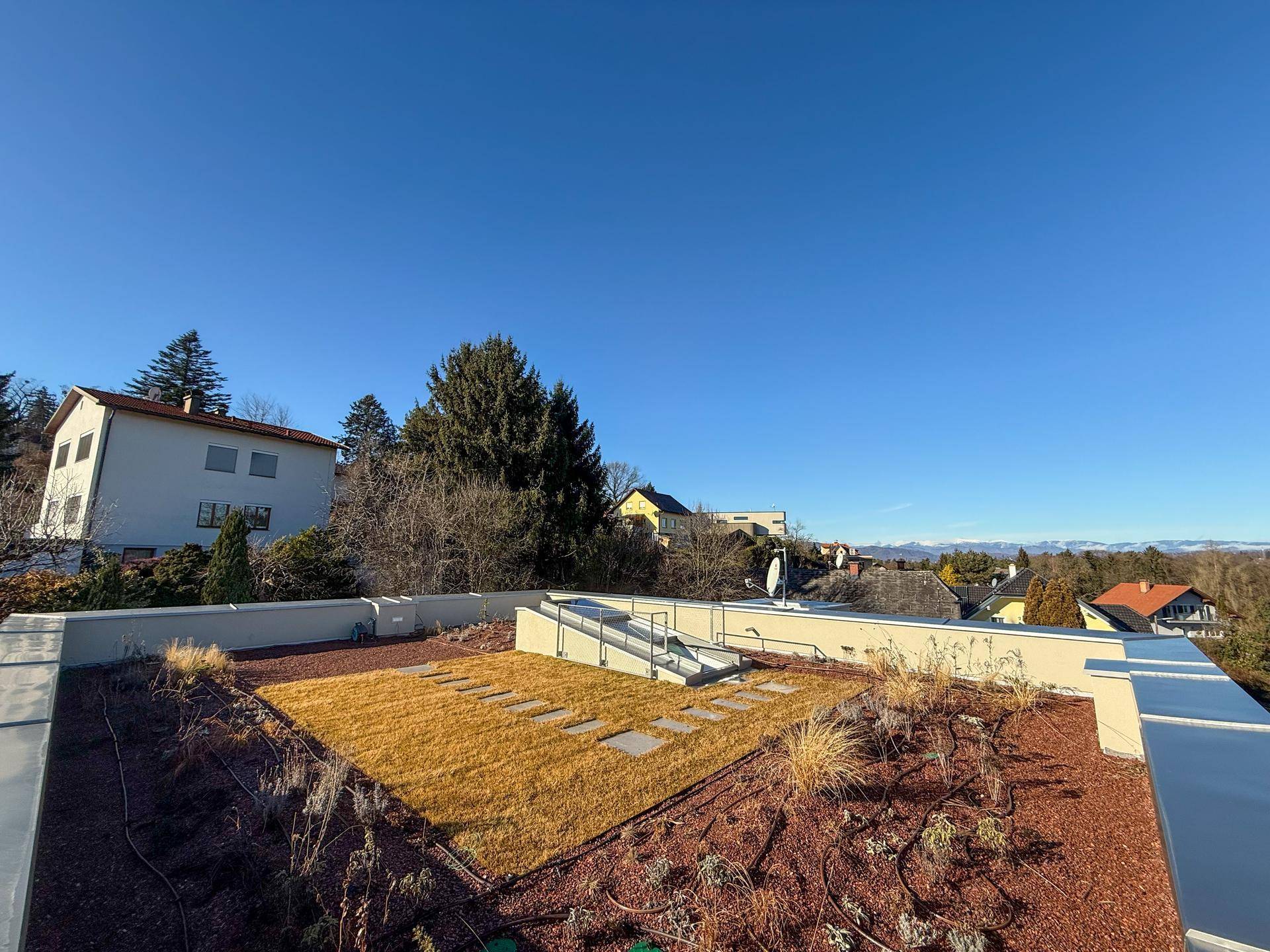 Weitläufige Dachterrasse mit Rasenfläche und Bepflanzung, ideal zum Entspannen.