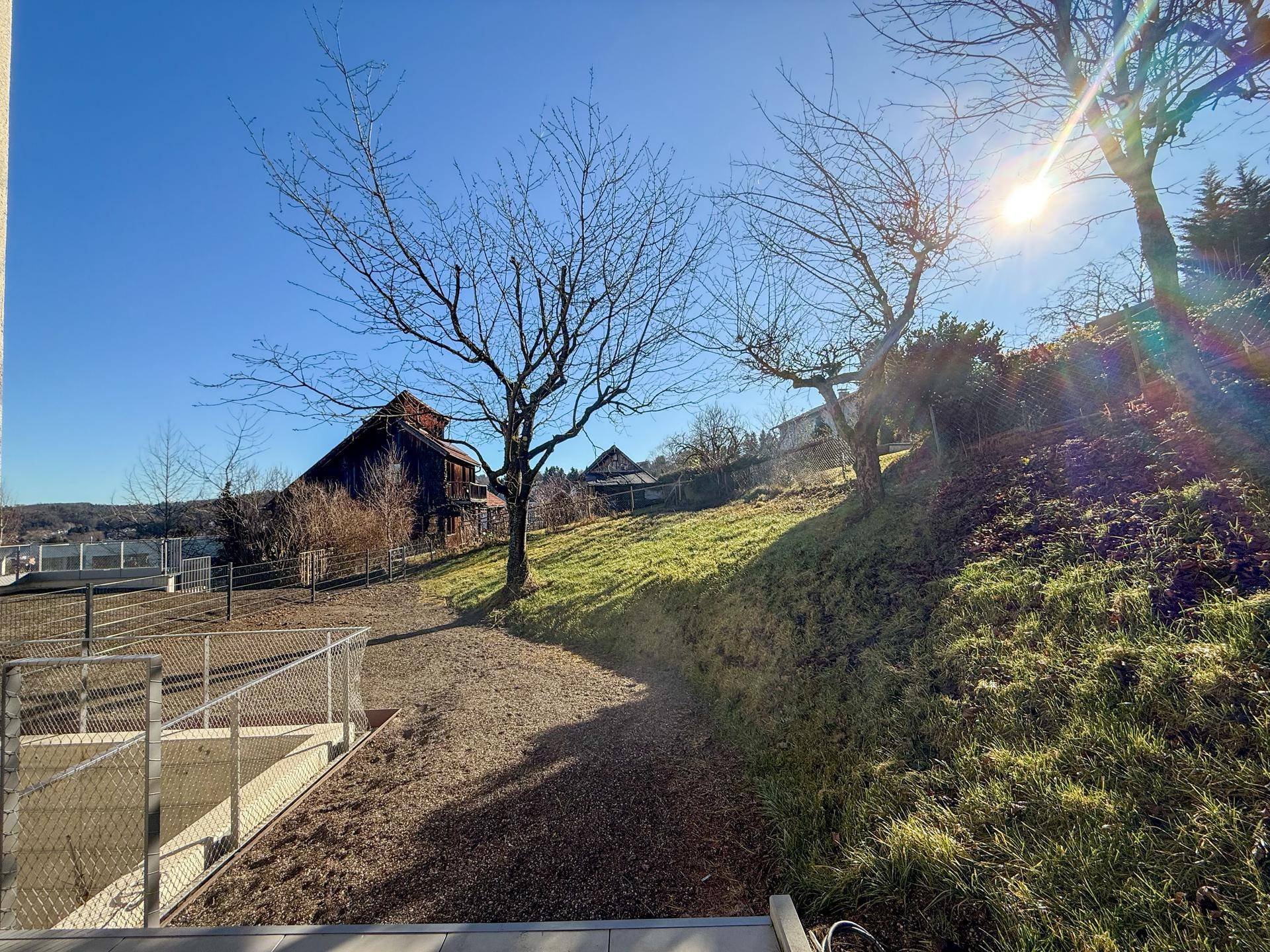 Sonniger Gartenbereich mit Rasenfläche und Bäumen, ideal zum Entspannen im Freien.
