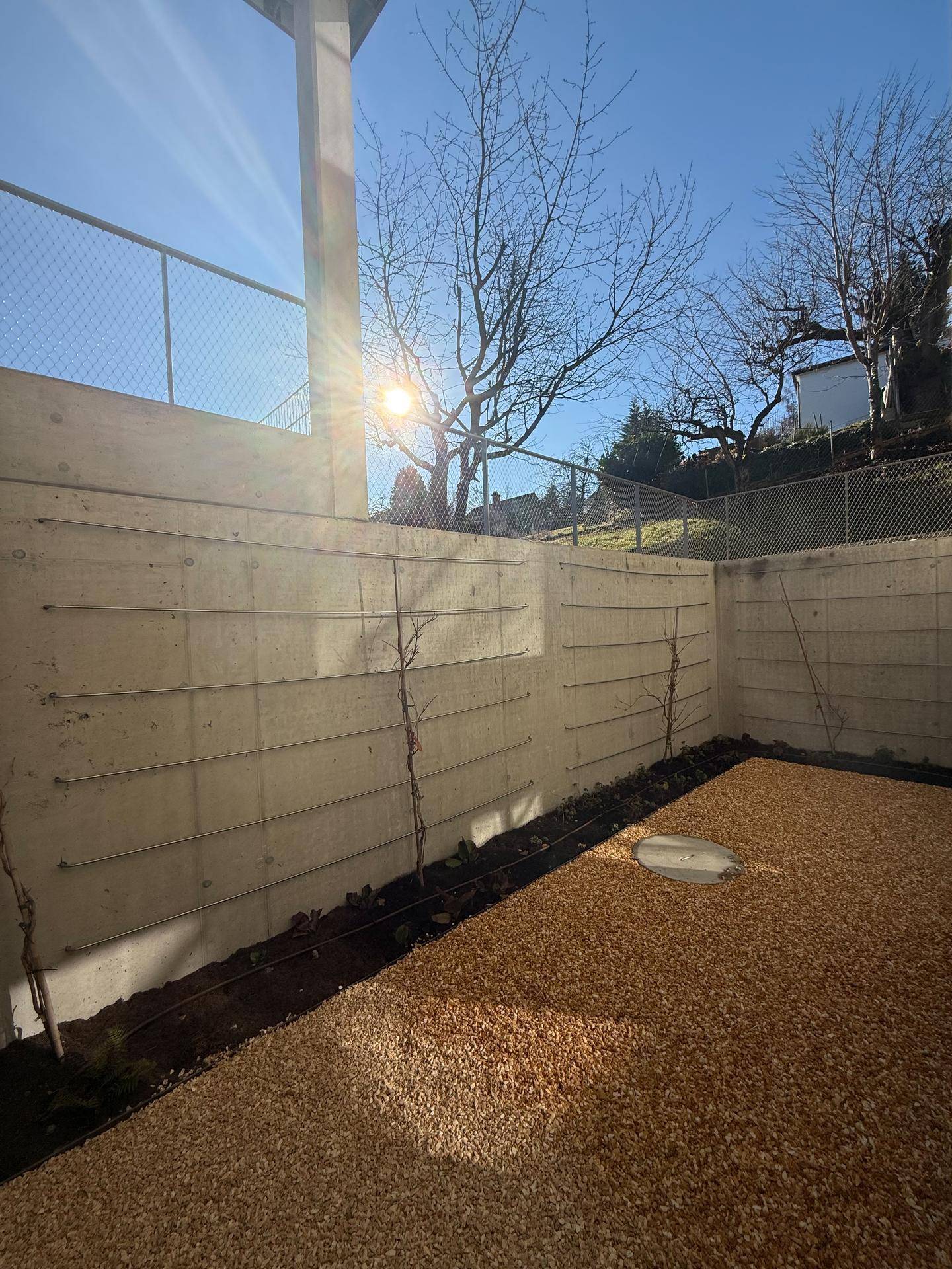 Kleiner, pflegeleichter Gartenbereich mit Kies und begrünten Betonwänden.