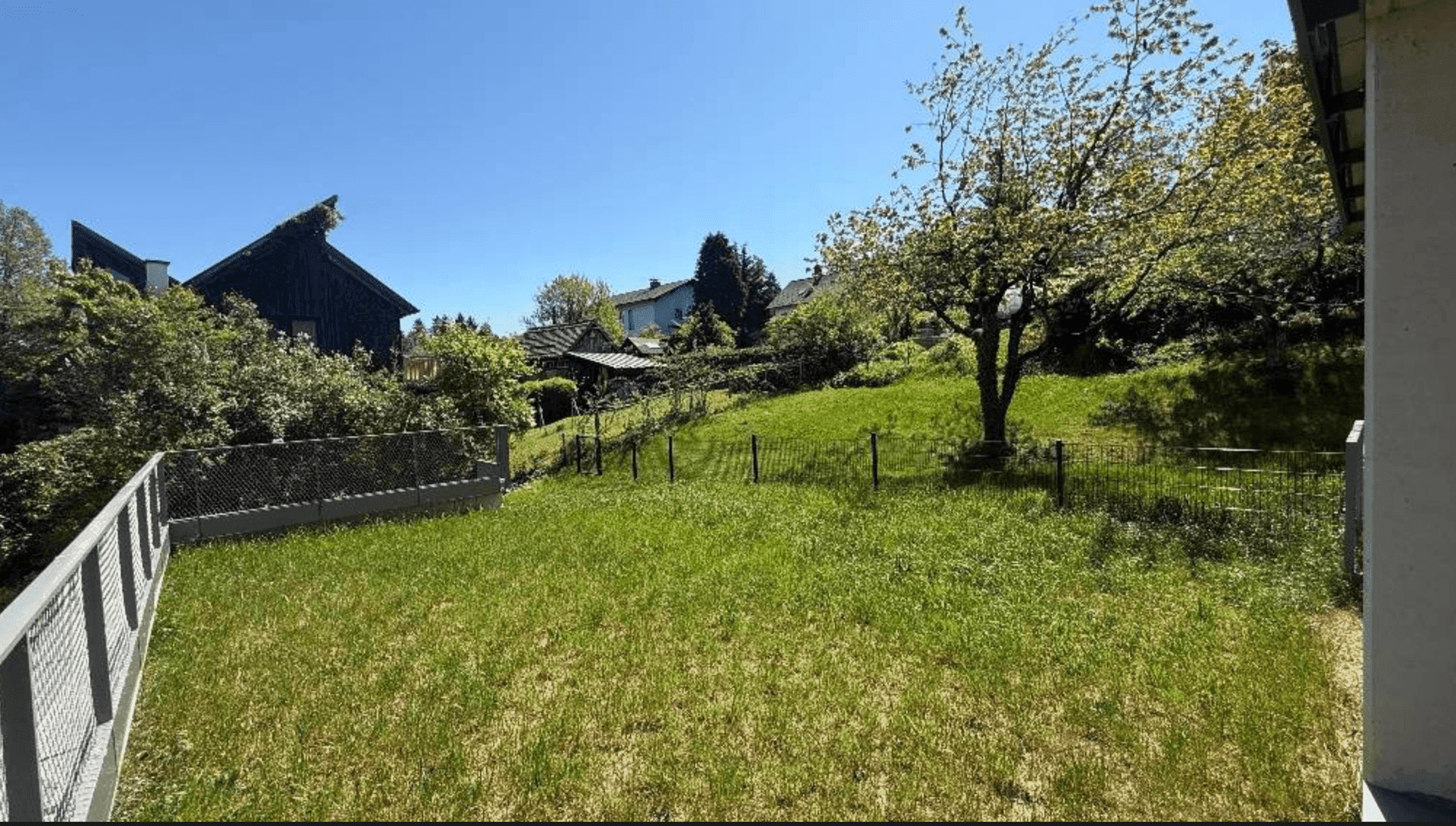Naturbelassener Gartenbereich mit Hanglage und altem Baumbestand, umgeben von ländlicher Idylle.