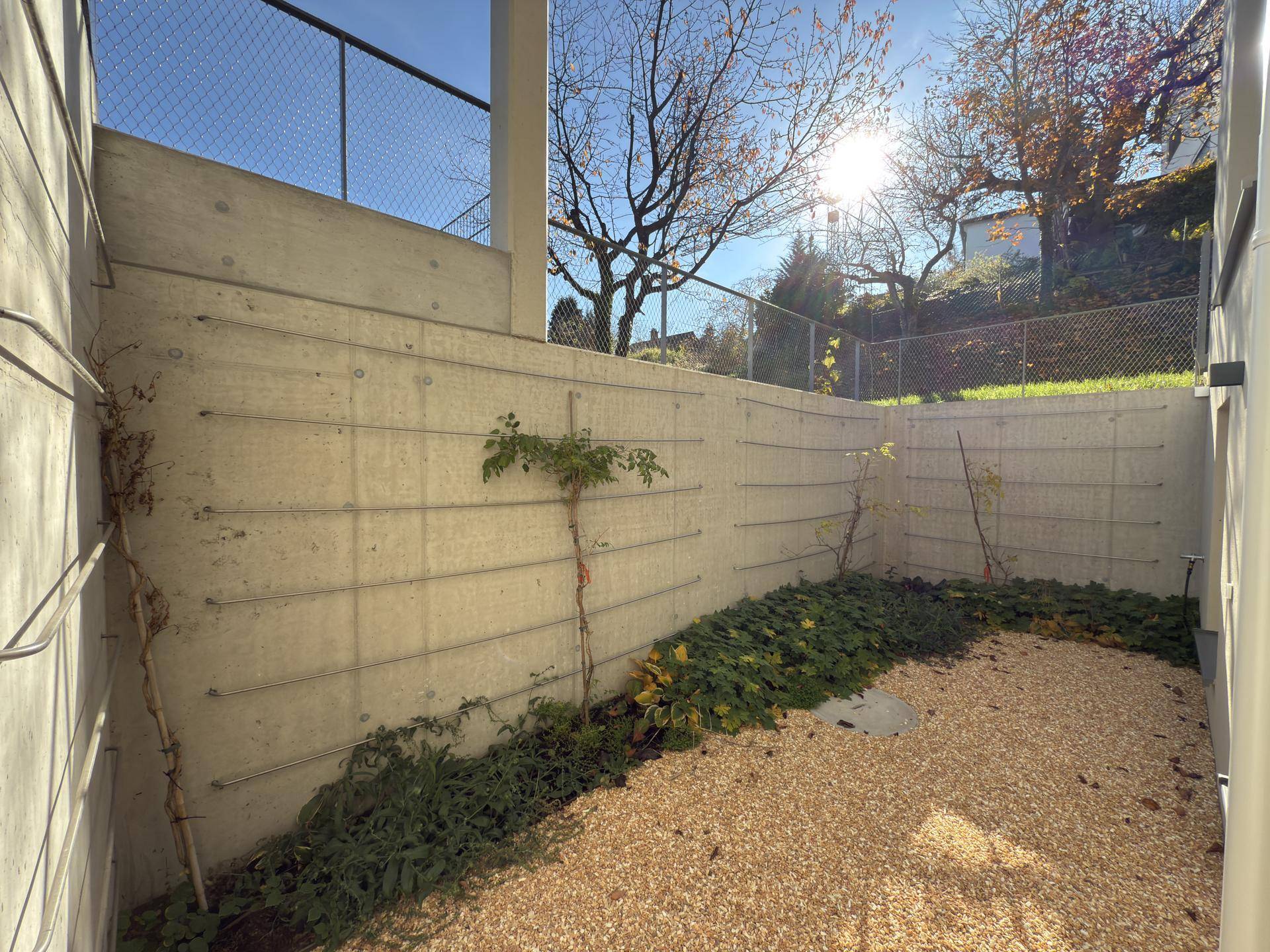 Kleiner, pflegeleichter Gartenbereich mit Kies und begrünten Betonwänden.