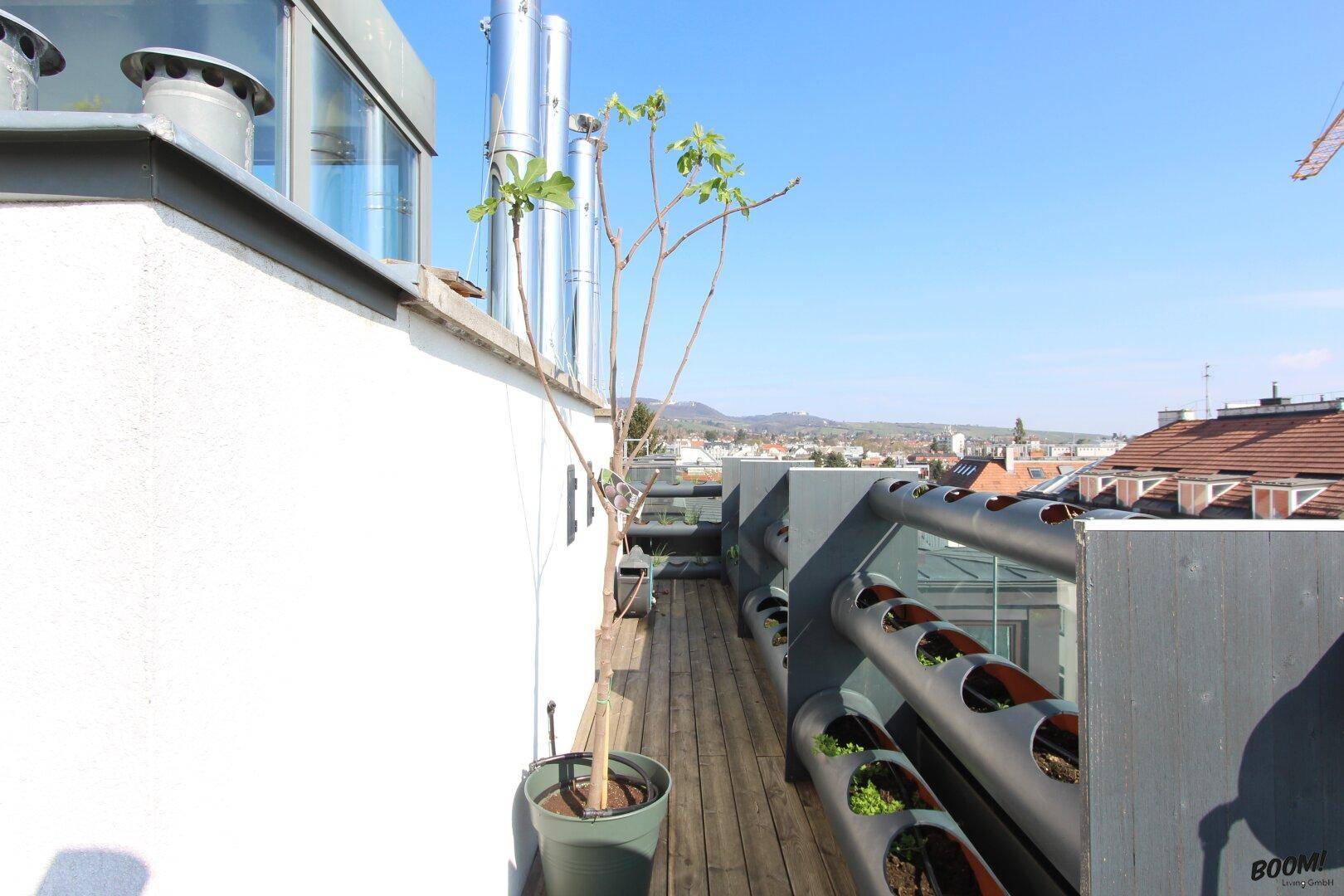 Dachterrasse