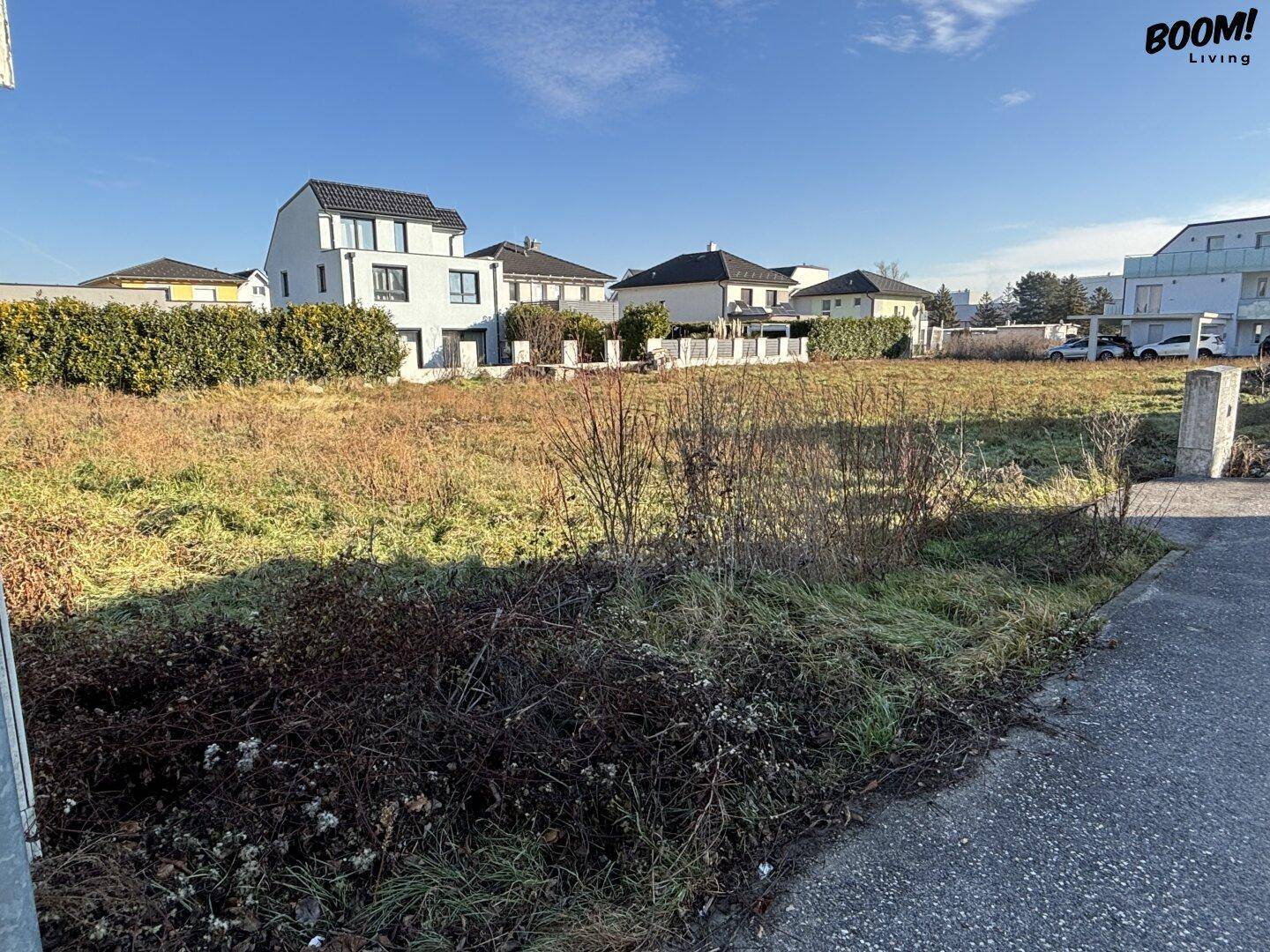 Sonnenverwöhntes unbebautes Grundstück mit Hecken und umliegenden Wohnhäusern in einer ruhigen Gegend.
