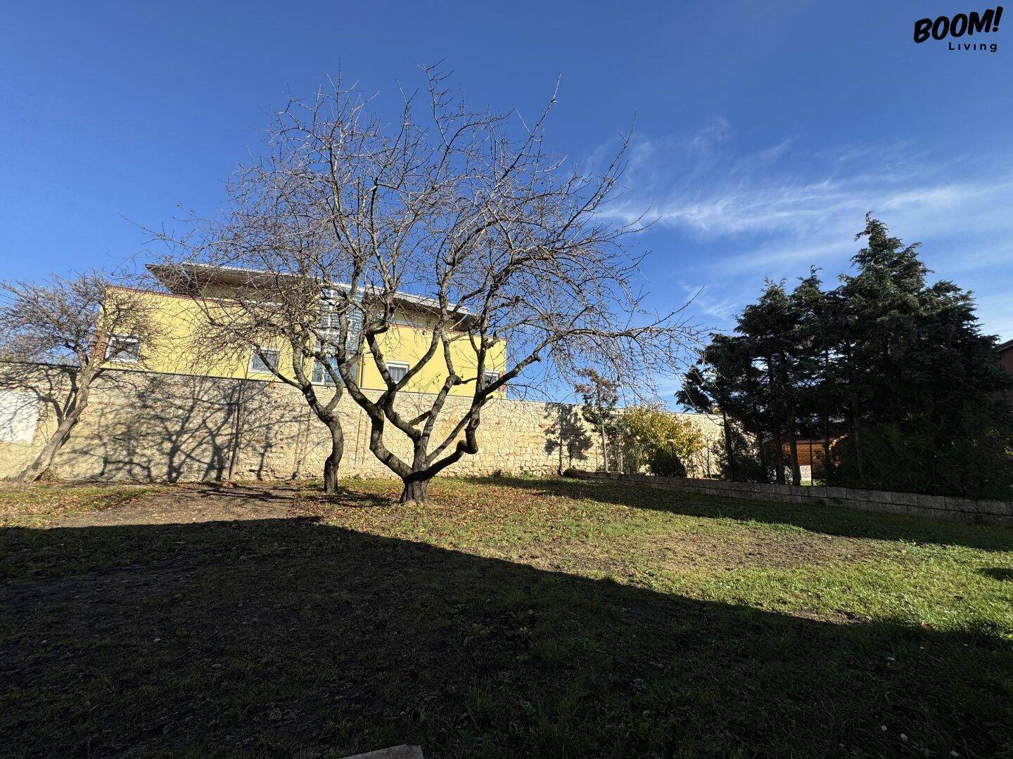 Gartenbereich mit kahlen Bäumen und einer Steinmauer im Hintergrund unter blauem Himmel.