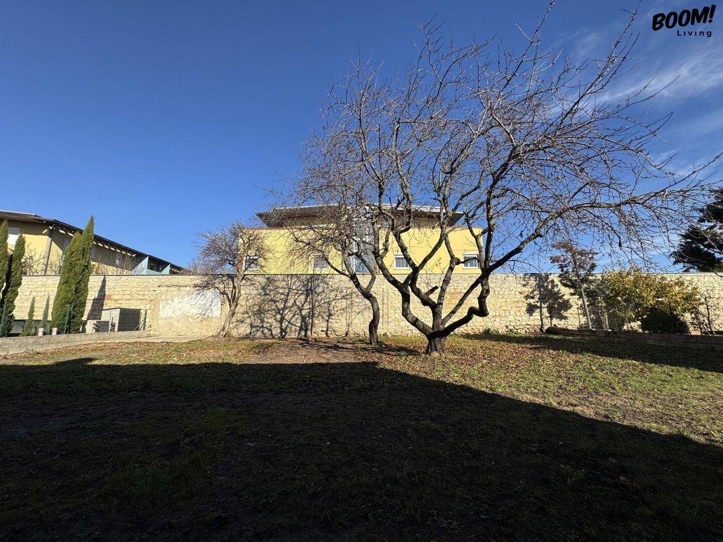 Weitläufiger Garten mit altem Baum, umgeben von einer Steinmauer und einem Wohnhaus im Hintergrund.