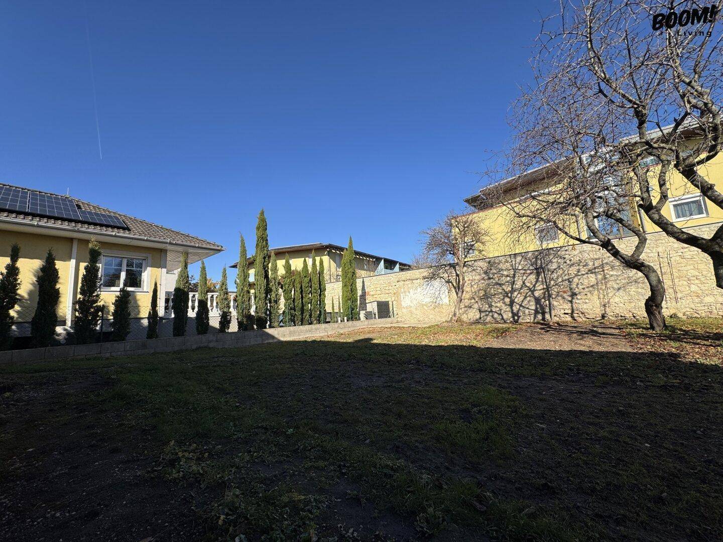 Garten mit Rasenfläche, Zypressen und benachbarten Häusern, eines davon mit Solaranlage.