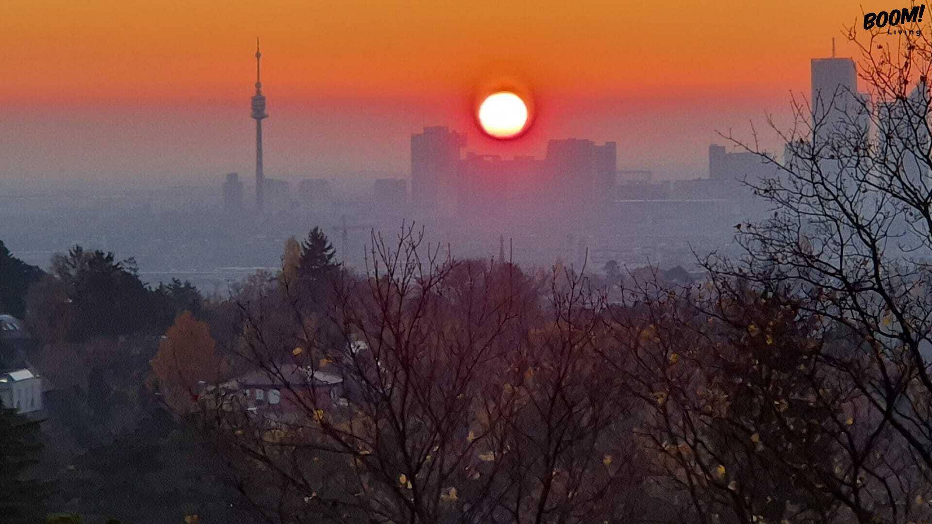 Nahaufnahme des Sonnenuntergangs mit der Sonne über der Stadtkulisse und den Baumwipfeln.