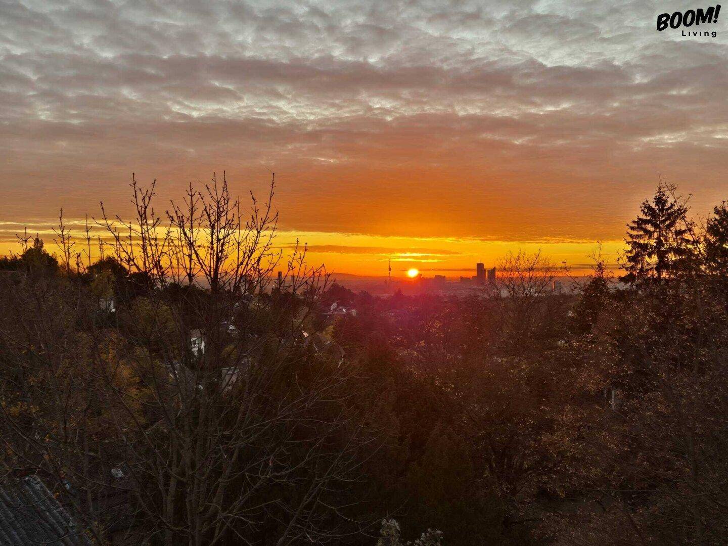 Spektakulärer Sonnenuntergang über einer bewaldeten Landschaft mit Blick auf die Stadt in der Ferne.