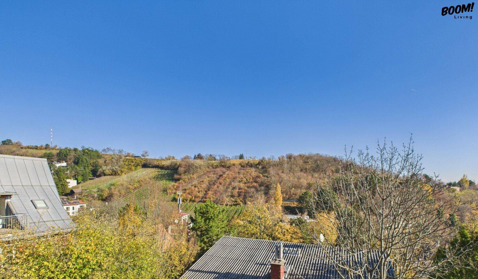 Weitläufiger Blick über bewaldete Hügel und die Dächer der umliegenden Häuser unter blauem Himmel.