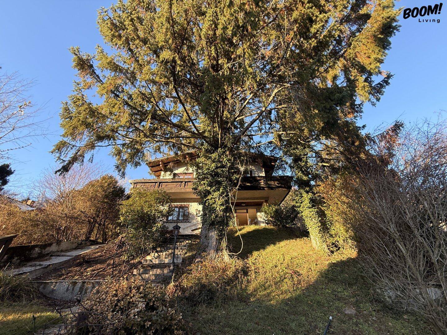 Äußere Ansicht des Hauses, umgeben von hohen Bäumen und Vegetation.