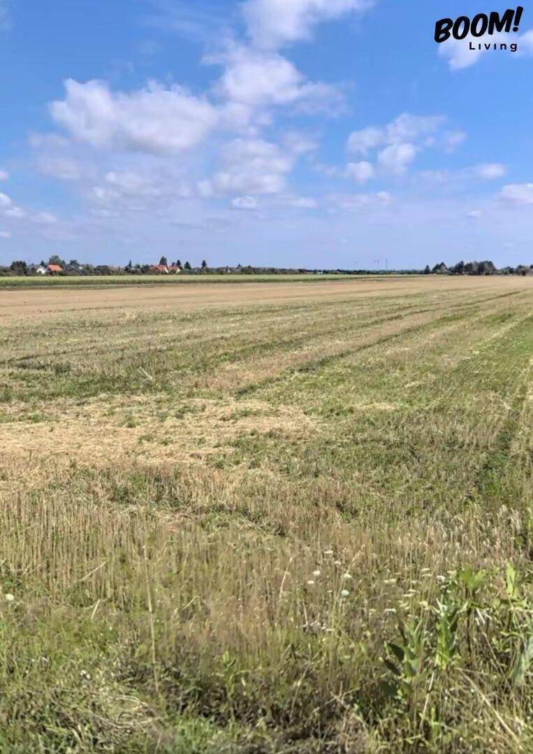 Baugrundstück in 2230 Gänserndorf – Gänserndorf Süd