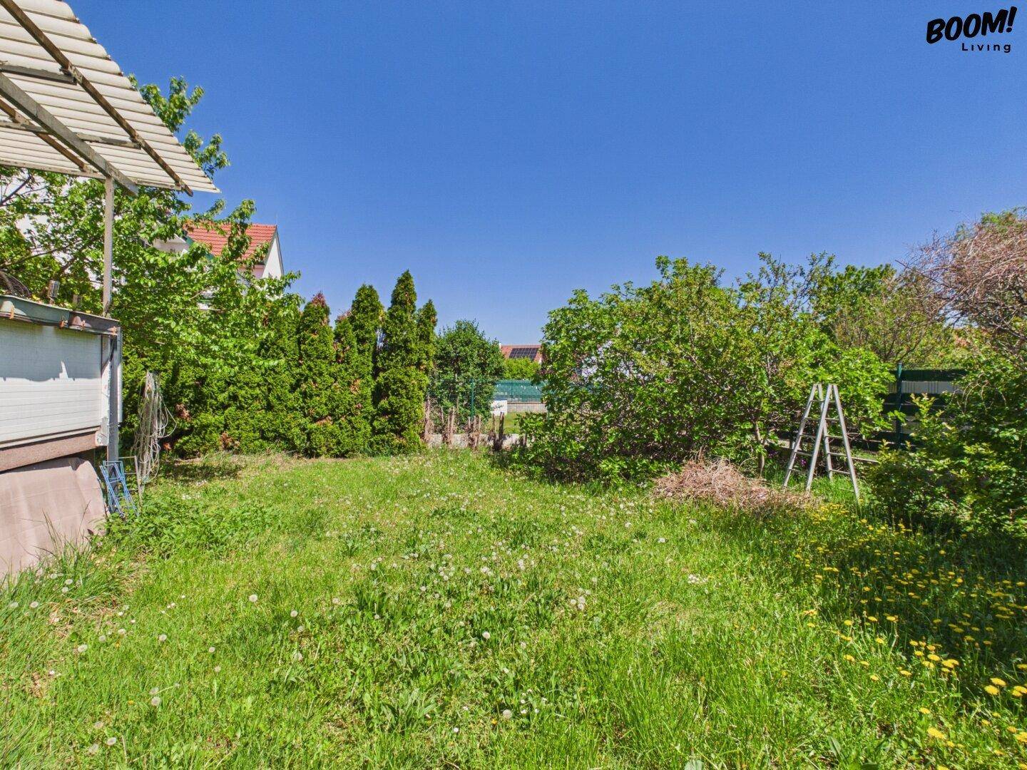 Großer, sonniger Garten mit Rasenfläche und verschiedenen Sträuchern und Bäumen.
