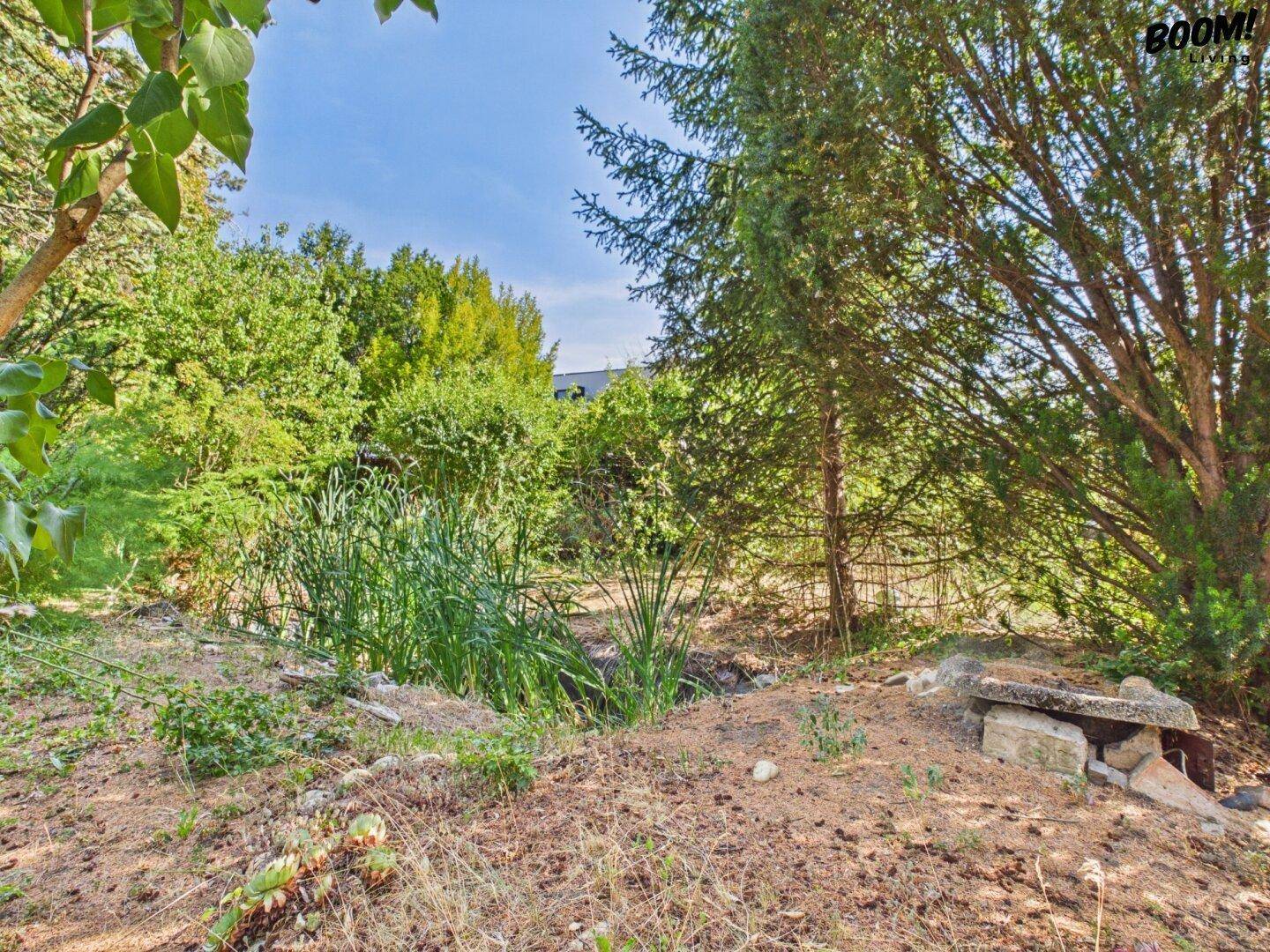 Naturbelassener Gartenbereich mit üppiger Vegetation und einem kleinen Teich oder Wasserbecken.