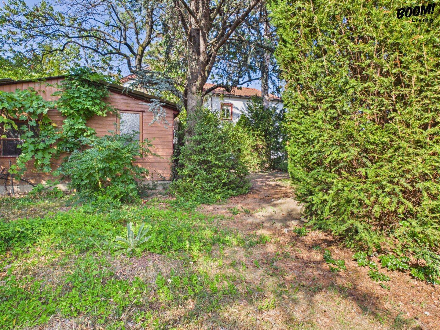 Gartenbereich mit Holzschuppen und dichter Bepflanzung, bietet Stauraum und Privatsphäre.