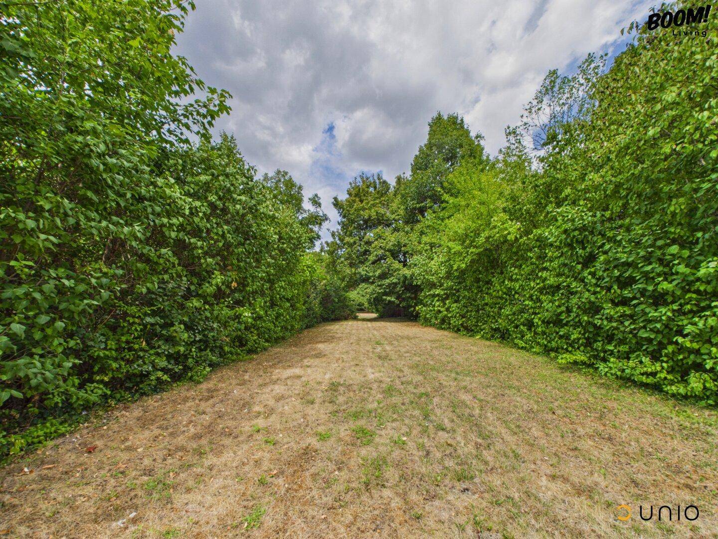 Naturbelassener Gartenweg umgeben von dichtem Grün und hohen Bäumen.