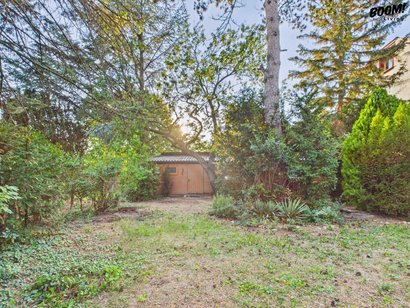 Weitläufiger Garten mit Bäumen und einem kleinen Holzschuppen im hinteren Bereich.