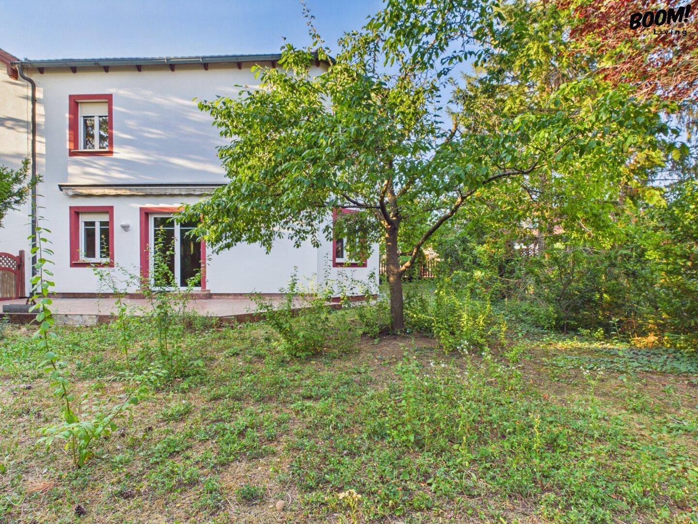 Weitläufiger Gartenbereich hinter dem Haus mit viel Grün und einem Obstbaum.