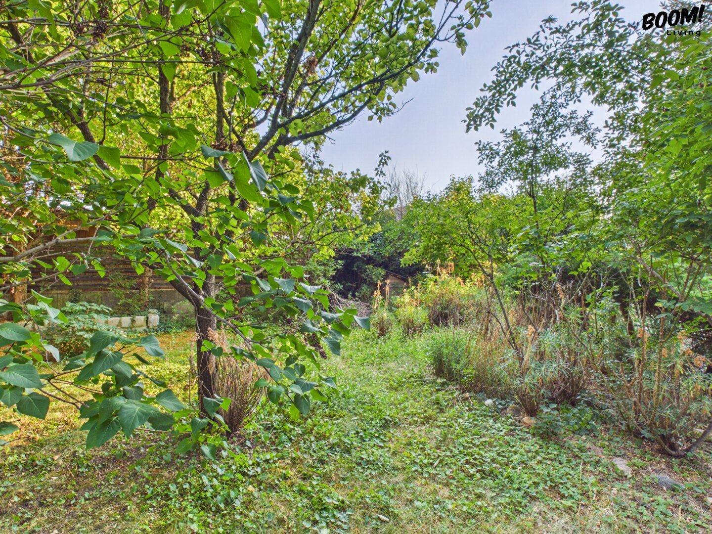 Naturbelassener Gartenbereich mit dichter Vegetation und Bäumen unter blauem Himmel.