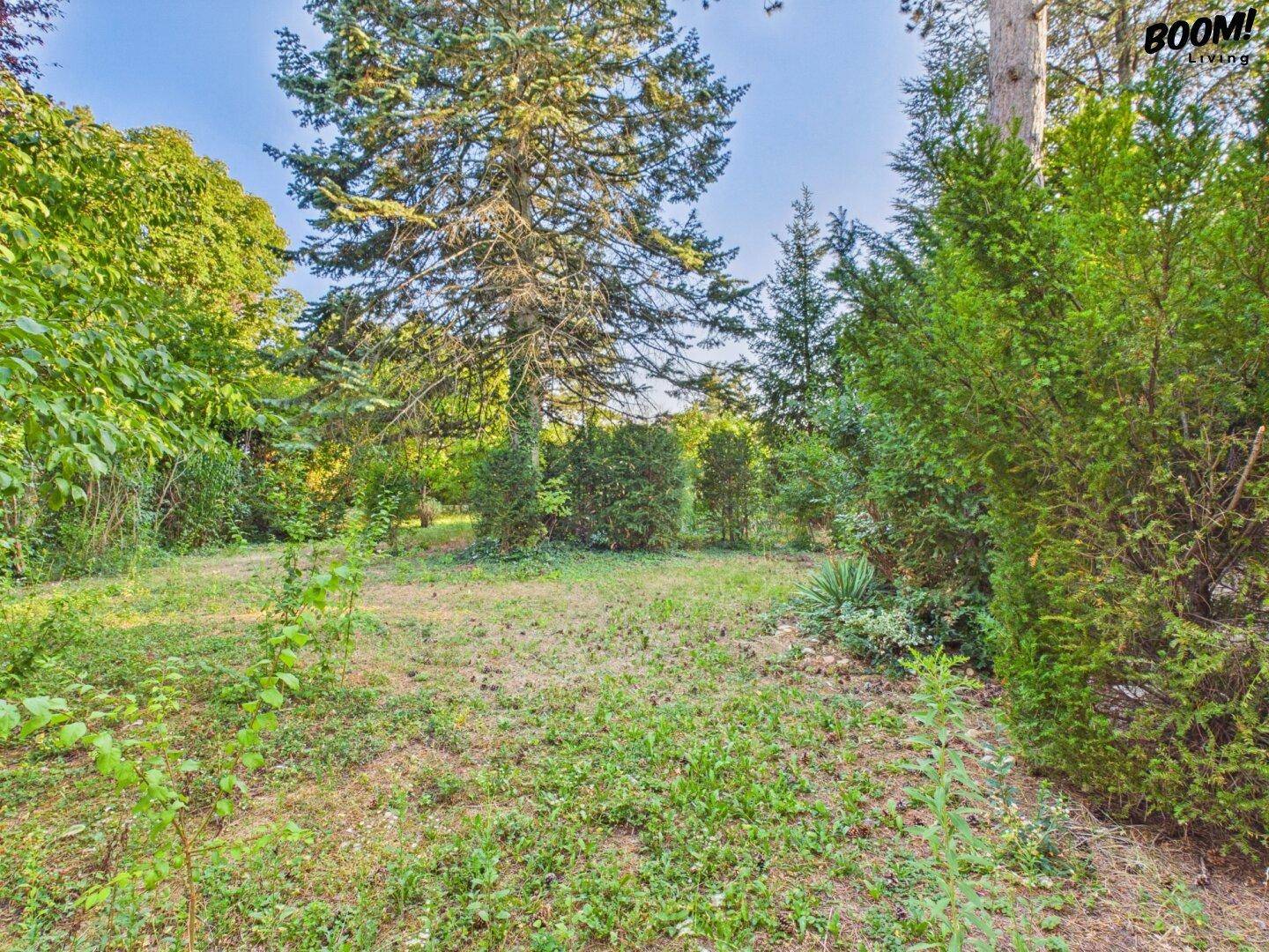 Offener Gartenbereich mit Rasenfläche, umgeben von hohen Bäumen und gepflegten Hecken.
