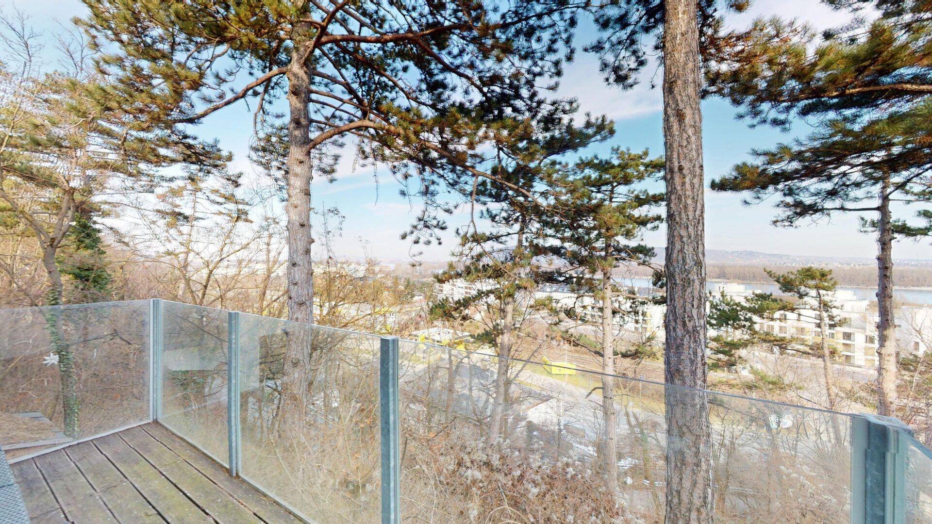 Balkon mit Glasgeländer, umgeben von Bäumen, bietet einen weiten Blick ins Grüne.