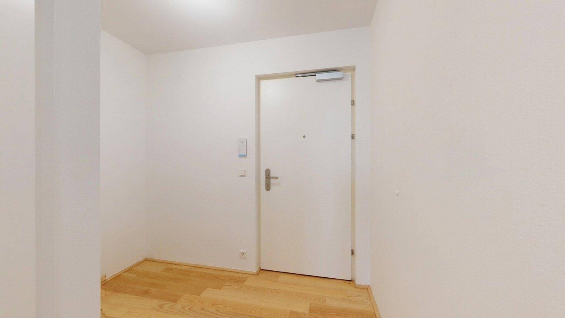 Heller Eingangsbereich mit Holzboden und weißer Eingangstür.