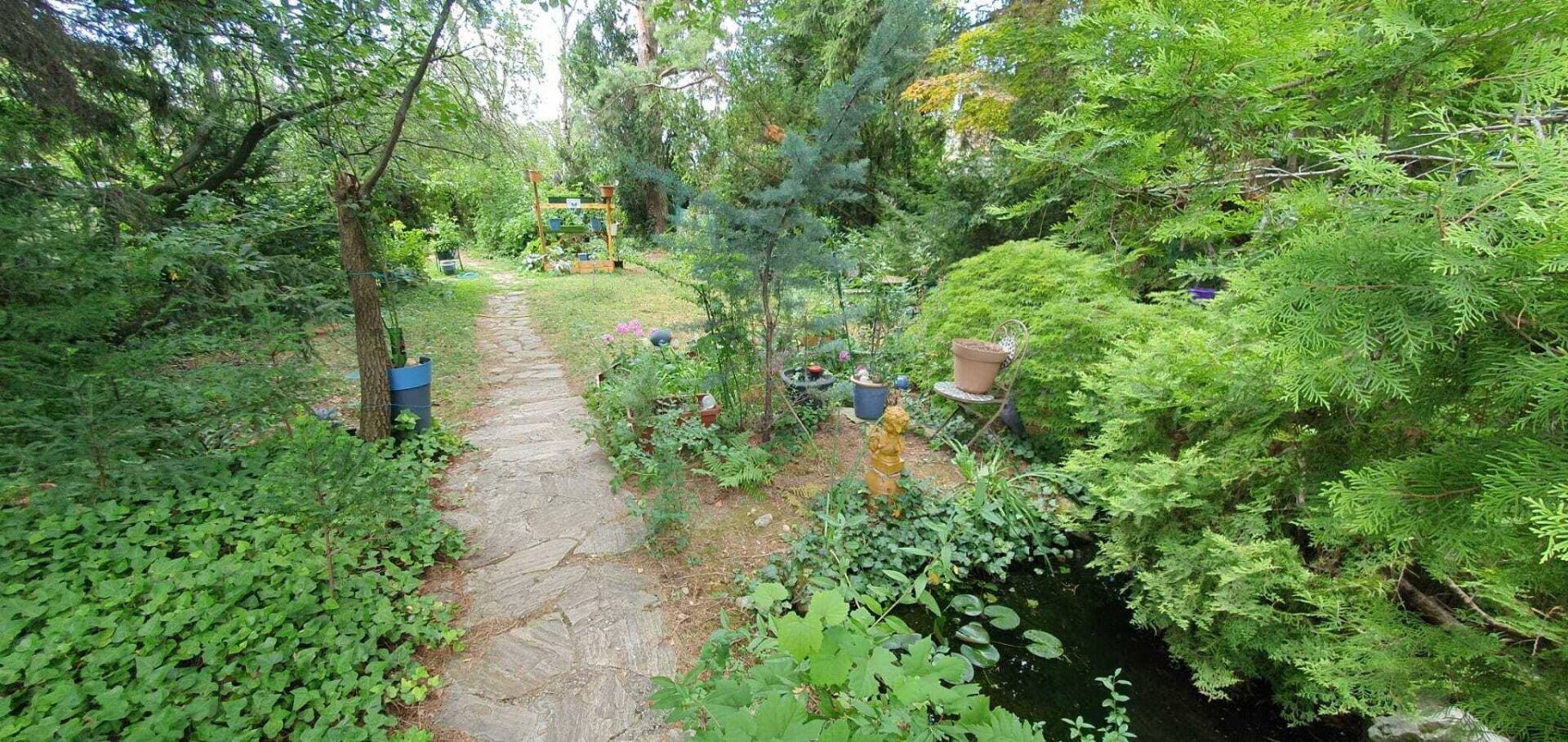 Ein verwunschener Gartenweg führt durch üppiges Grün, vorbei an einem kleinen Teich und vielen Pflanzen.