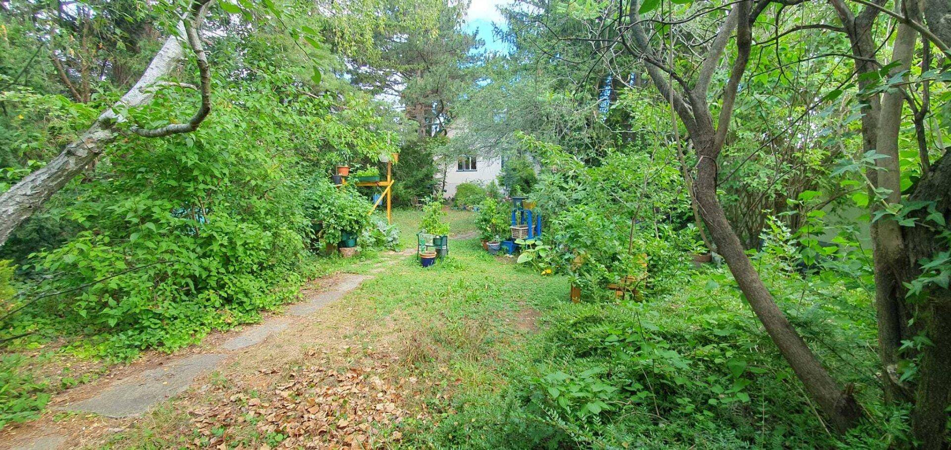 Gartenansicht mit einem Weg, der zum Haus führt, umgeben von üppigem Grün.