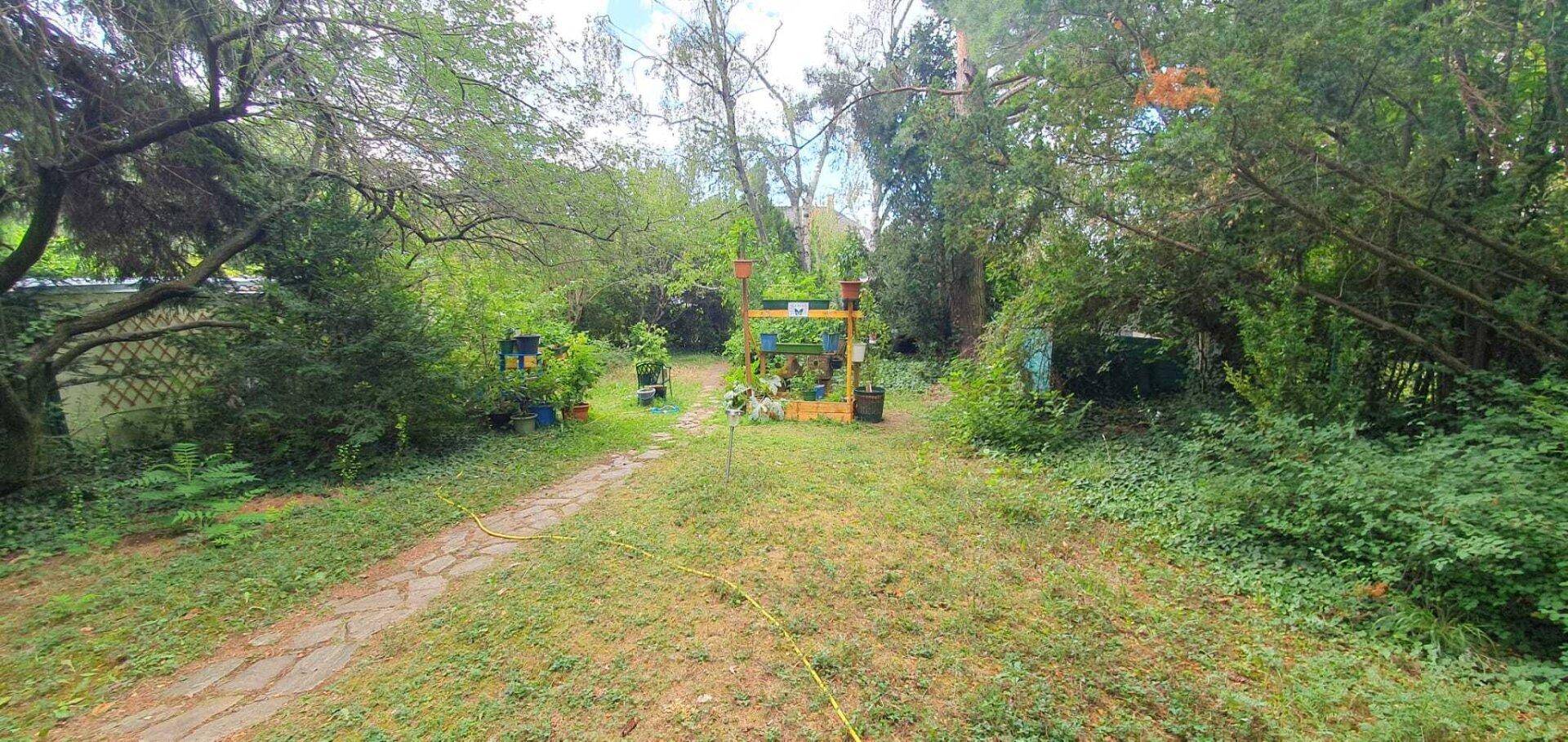Gartenansicht mit einem Weg, verschiedenen Topfpflanzen und dichter Vegetation.