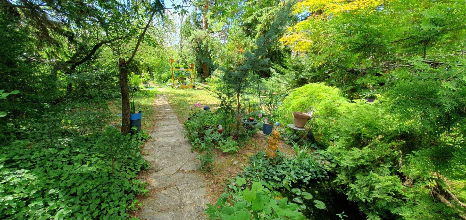 Ein verwunschener Gartenweg führt durch üppiges Grün, vorbei an einem kleinen Teich und vielen Pflanzen.