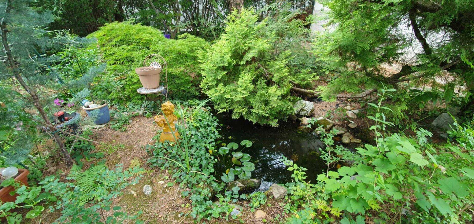 Nahaufnahme eines kleinen Gartenteichs, umgeben von Pflanzen und einem Gartenzwerg.