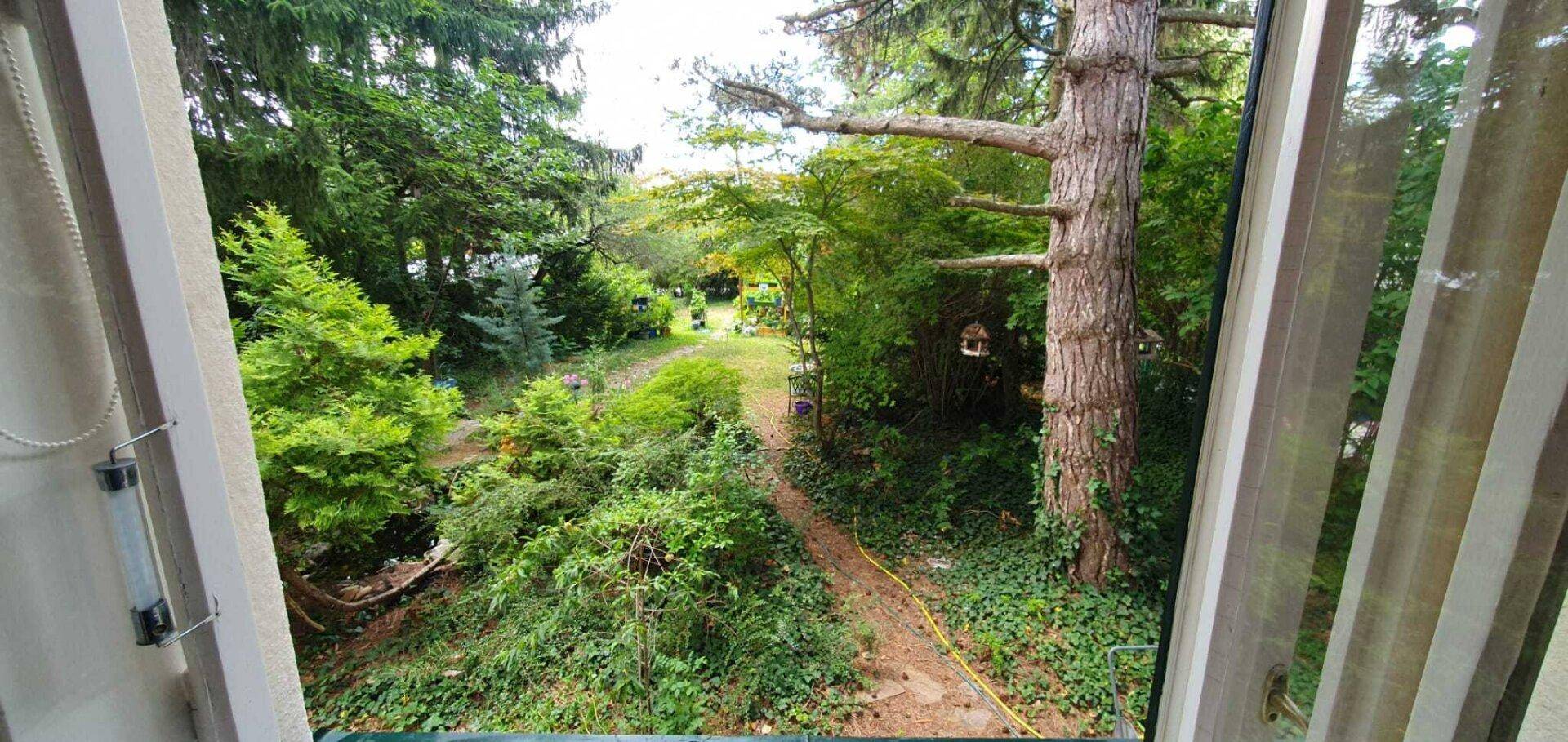 Blick aus einem Fenster auf den üppig grünen Garten und den Gartenweg.
