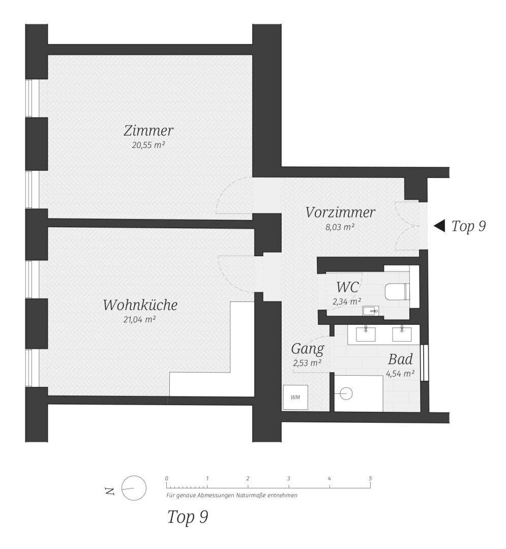 Grundriss der Wohnung Top 9 mit Zimmer, Wohnküche, Bad und separatem WC.