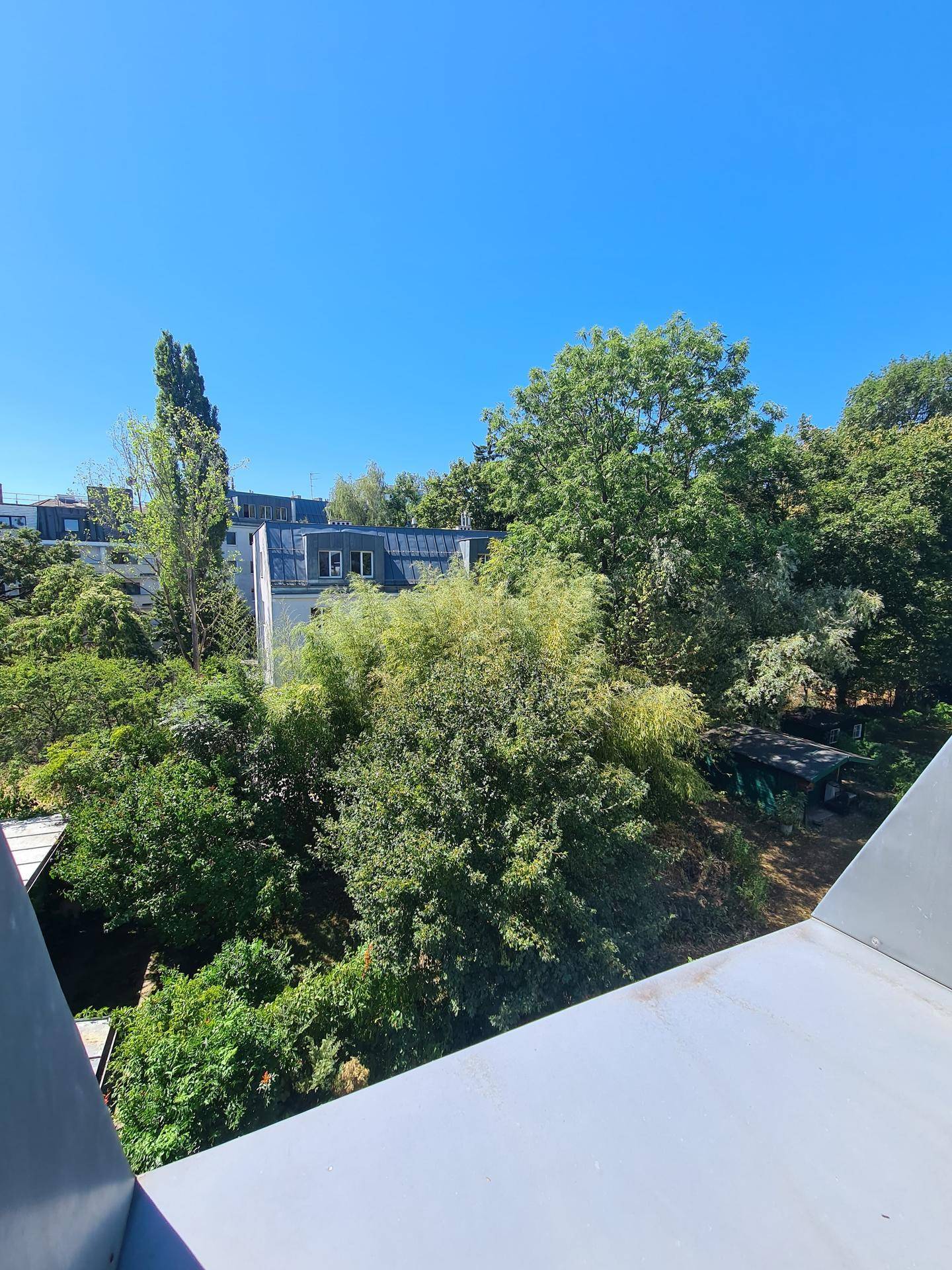 Weitblick ins Grüne mit Bäumen und Gebäuden unter blauem Himmel.