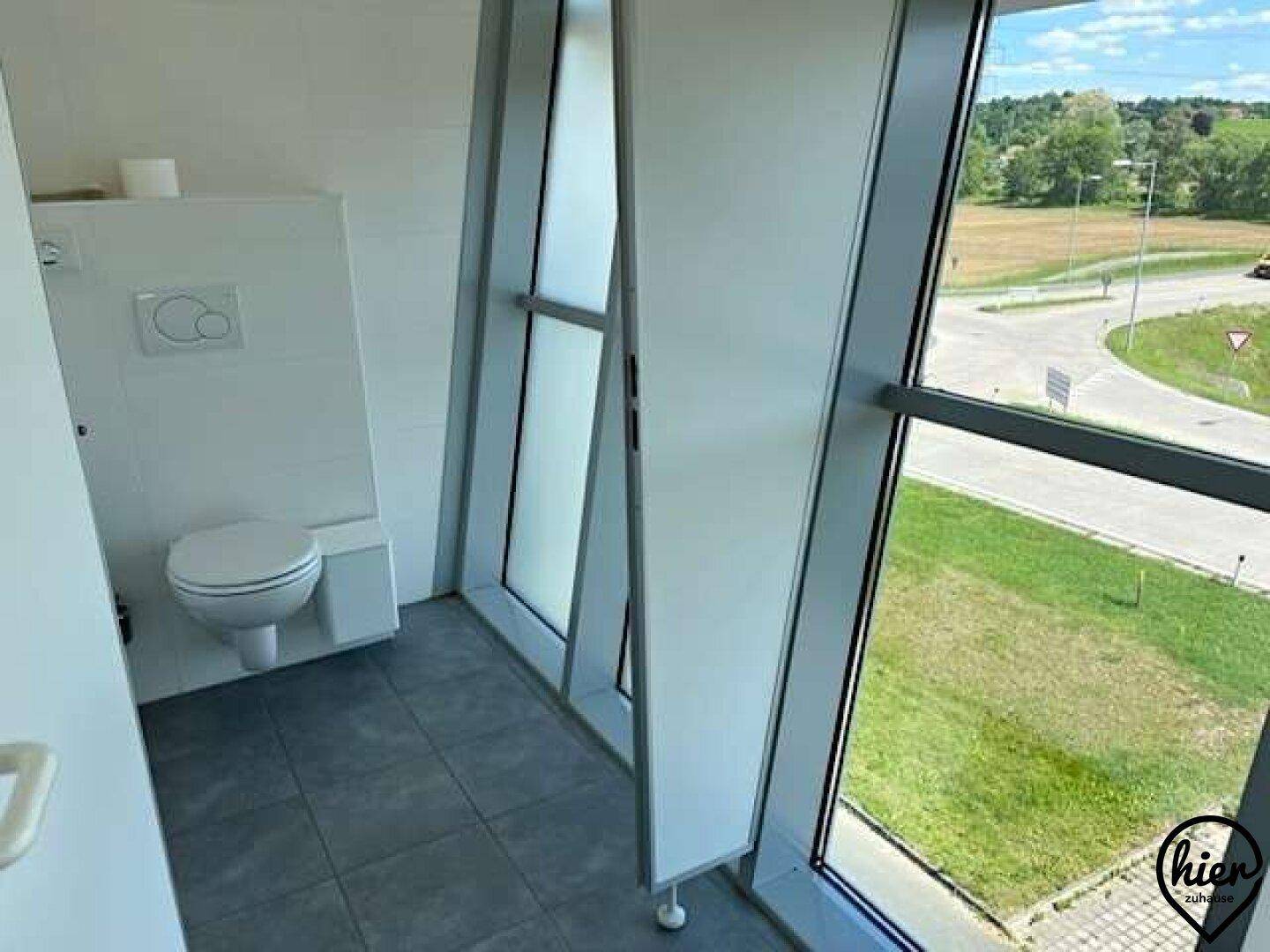 Toilettenbereich mit wandhängendem WC und großen Fenstern mit Milchglas, die Tageslicht hereinlassen.
