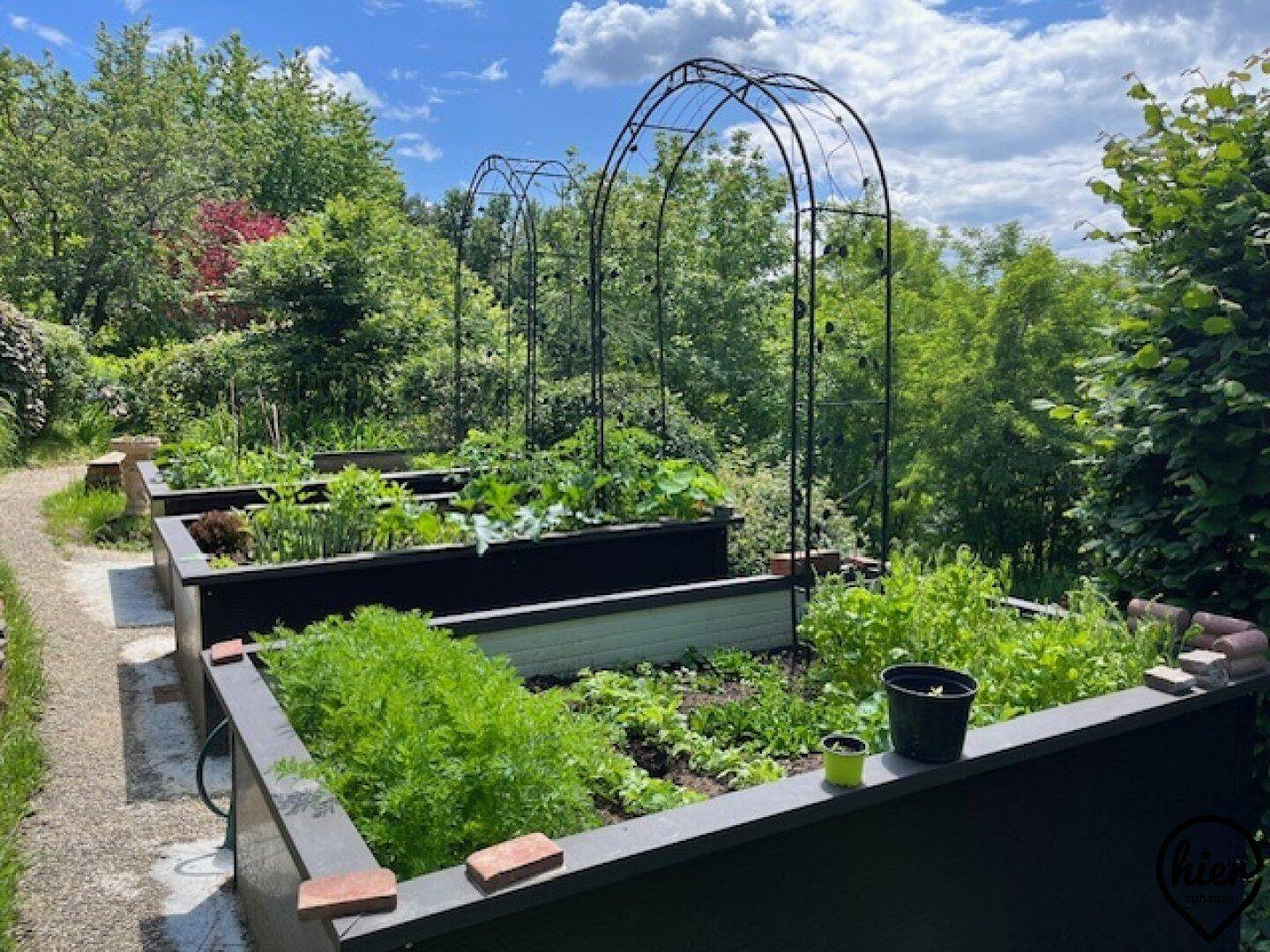 Hochbeete mit verschiedenen Gemüsepflanzen und dekorativen Metallbögen im Garten.