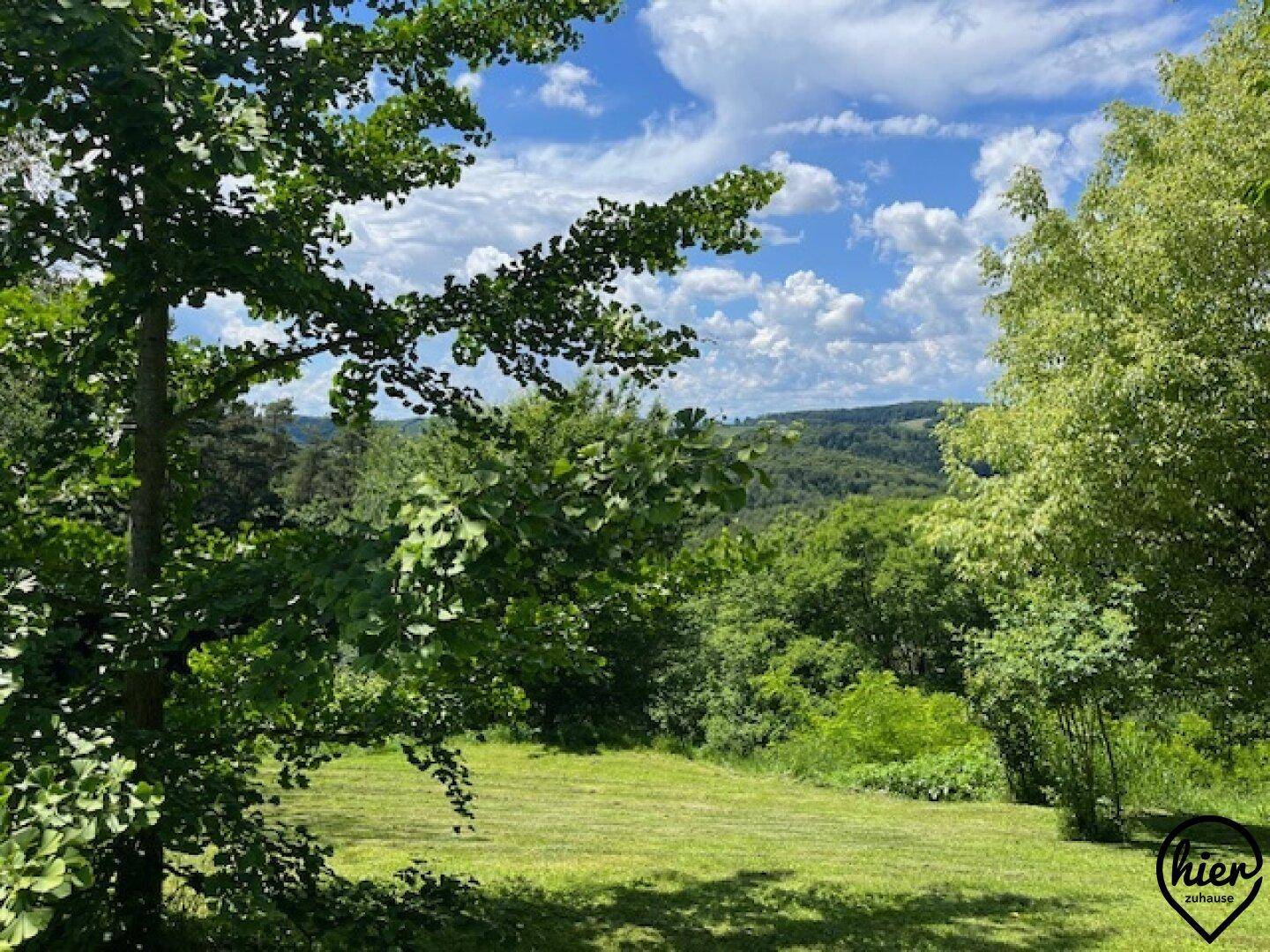 Malerischer Ausblick auf eine grüne Hügellandschaft mit Bäumen unter blauem Himmel.