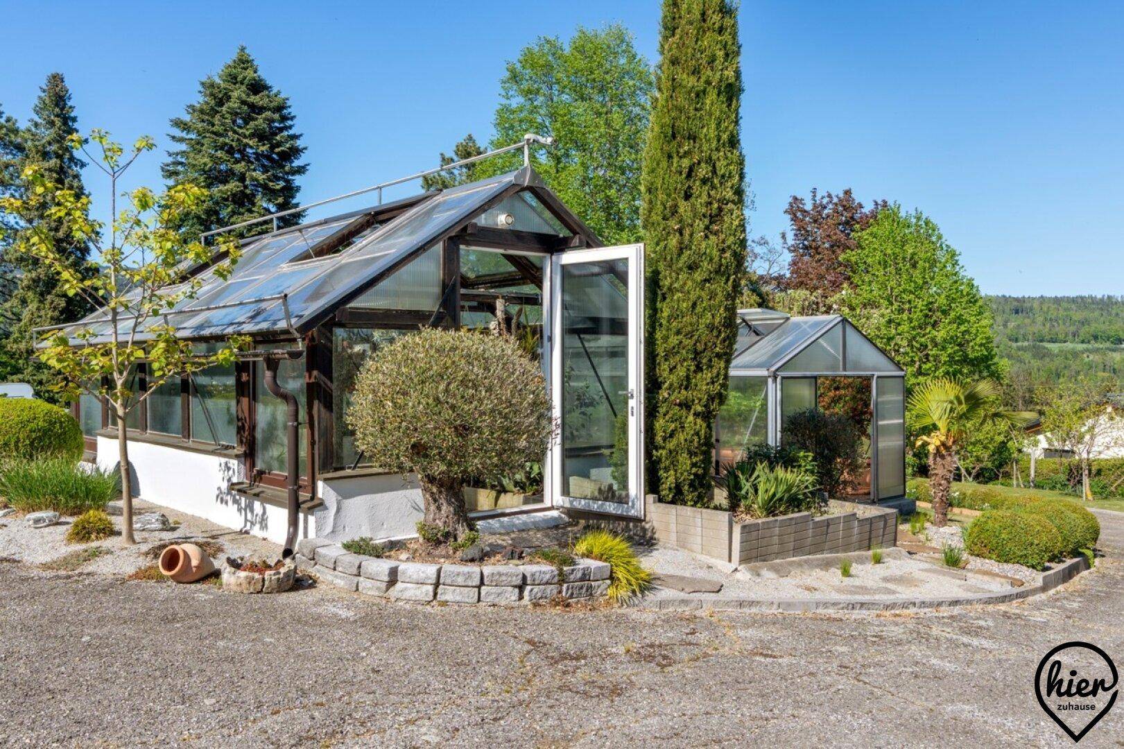 Gartenanlage mit zwei Gewächshäusern, Zypressen und gepflegten Beeten.