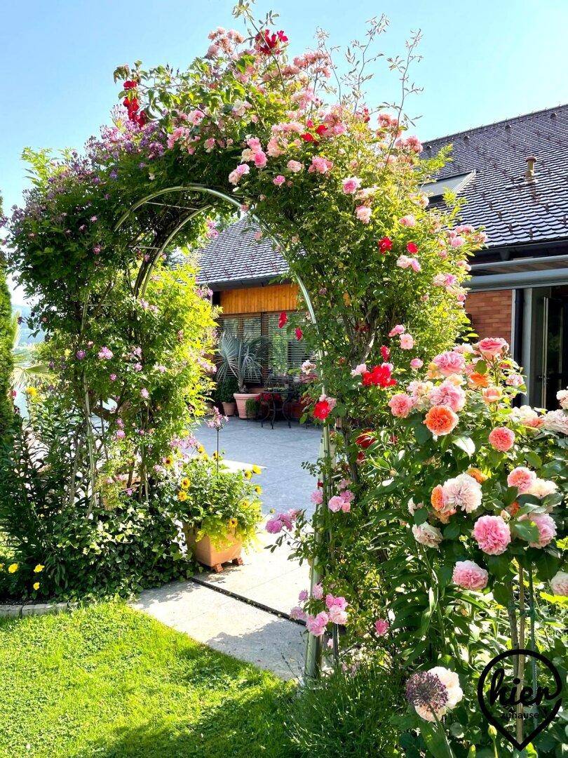 Romantischer Rosengarten mit blühenden Rosenbögen und einer Terrasse im Hintergrund.