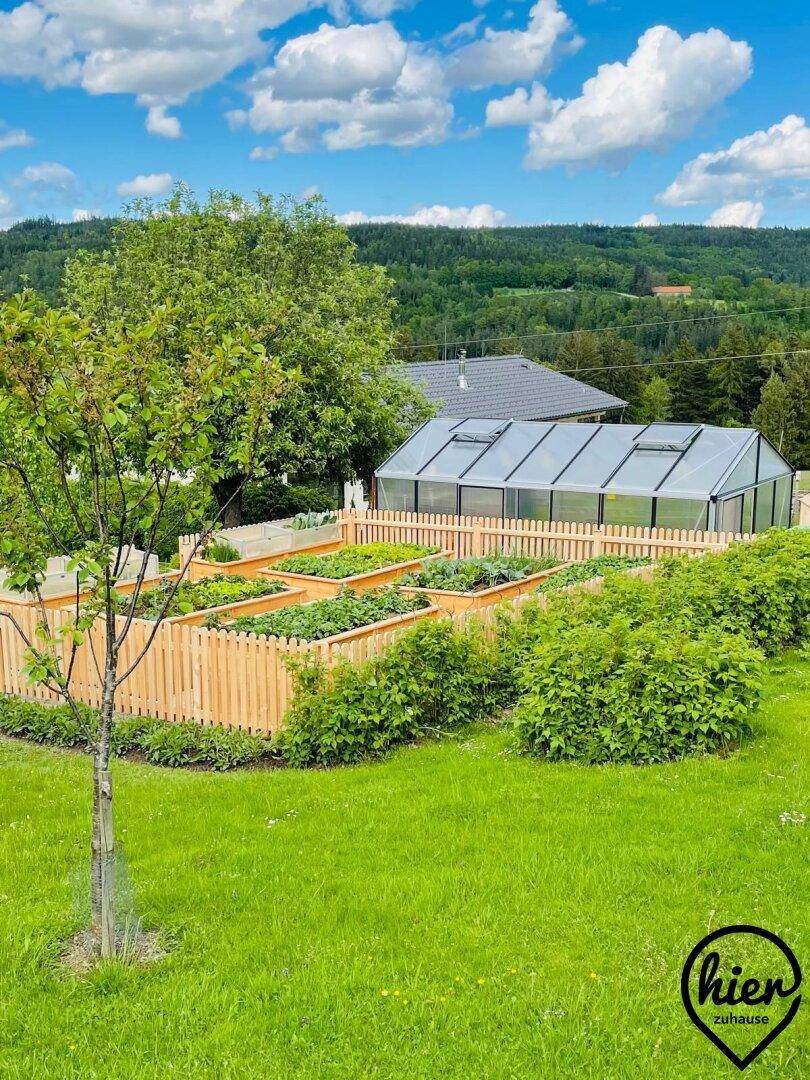 Gemüsegarten mit Hochbeeten, Gewächshaus und einem jungen Obstbaum.