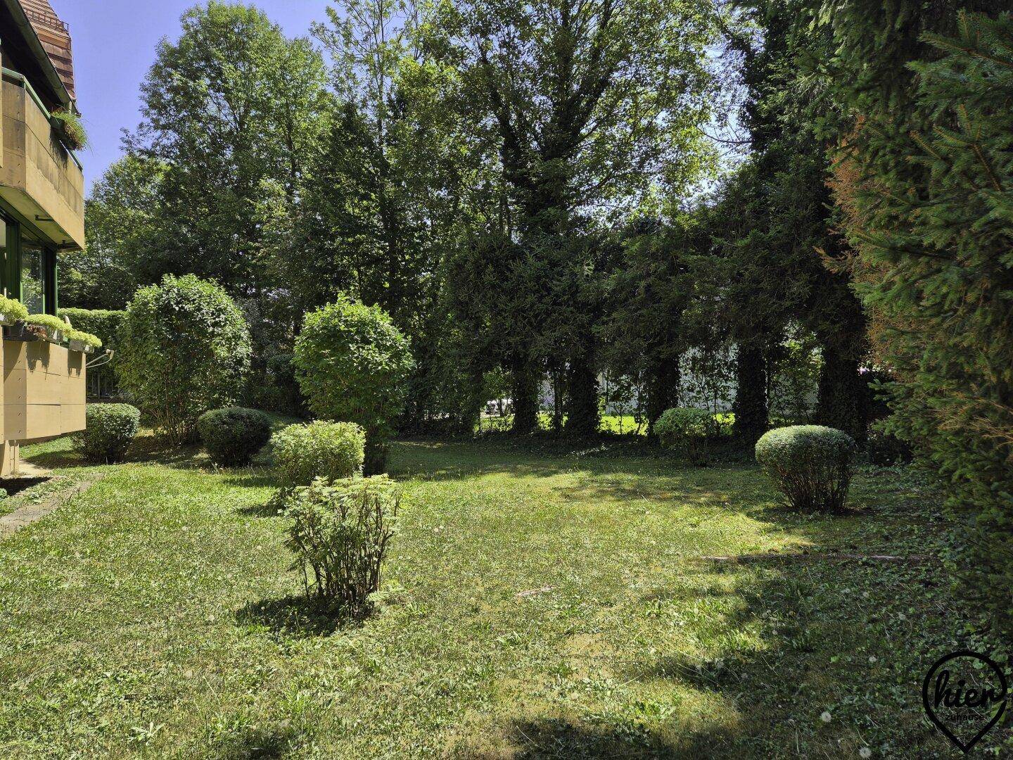 Großer, grüner Gartenbereich mit Rasen und verschiedenen Sträuchern und Bäumen.