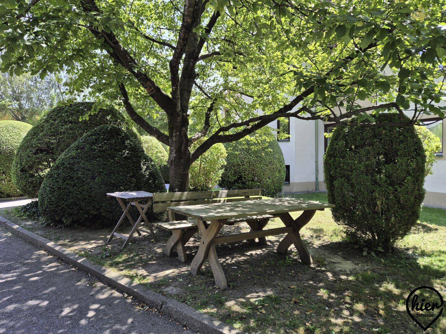Gemütlicher Sitzbereich im Garten unter einem Baum mit Holztisch und Bänken.