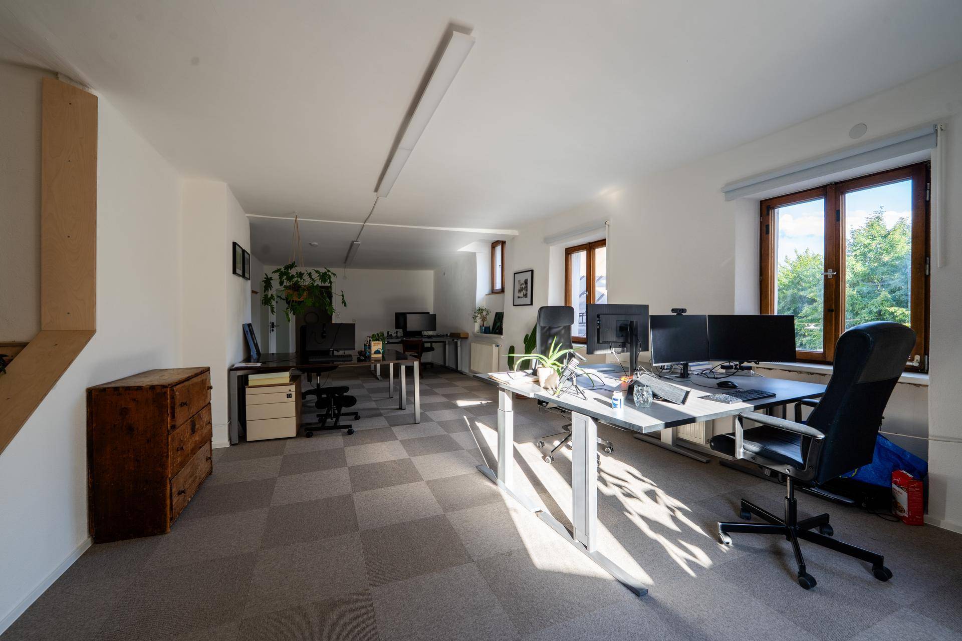 Helles Großraumbüro mit mehreren Arbeitsplätzen, Teppichboden und Blick ins Grüne durch große Fenster.