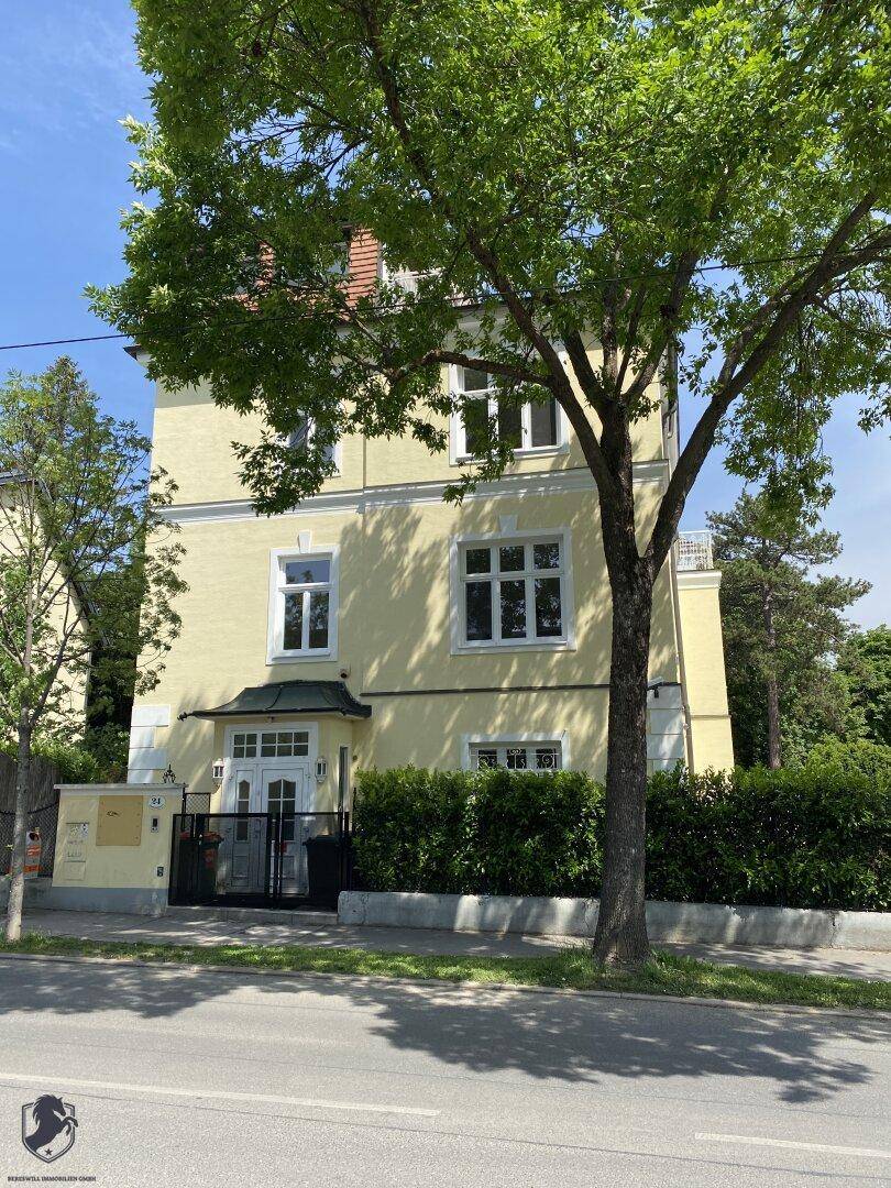 Vorderansicht der gelben Villa mit Eingangsbereich, grüner Hecke und altem Baum.
