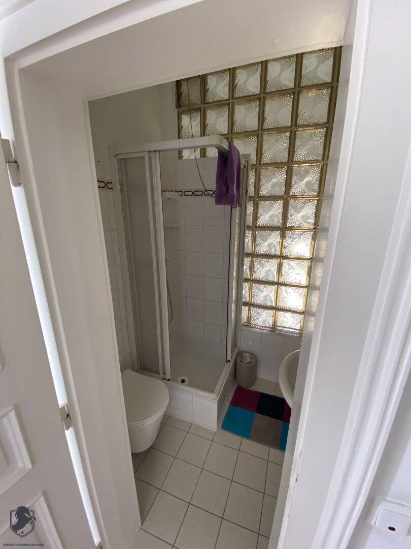 Kleines Badezimmer mit Duschkabine, Toilette und Glasbausteinwand für natürliches Licht.