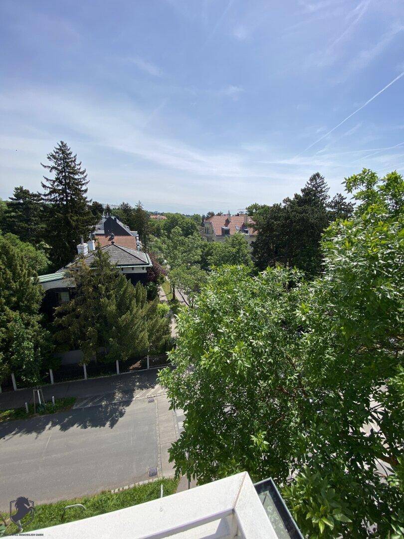 Weitläufiger Blick von der Terrasse über die Baumwipfel und die umliegende Nachbarschaft.