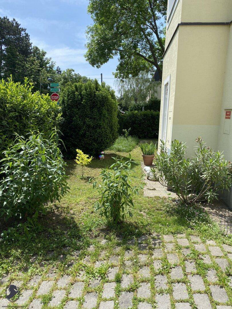Kleiner Gartenbereich mit Rasen, Sträuchern und gepflastertem Weg neben dem Gebäude.
