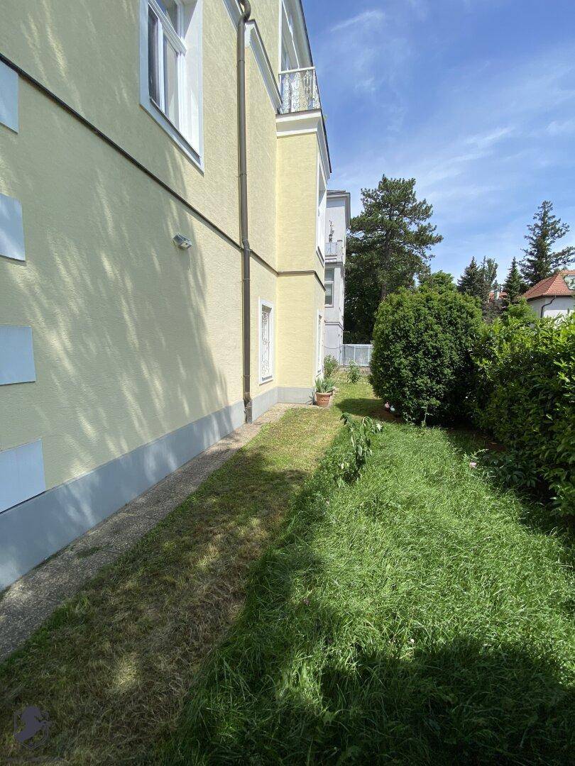 Seitlicher Gartenbereich mit Rasenfläche und grünen Sträuchern entlang der Hauswand.
