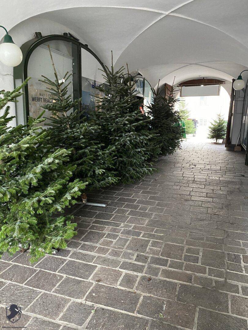 Überdachter Durchgang mit Steinboden und gewölbter Decke, geschmückt mit mehreren Weihnachtsbäumen.