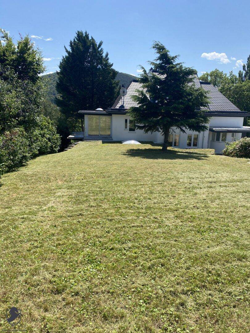 Weitläufiger Gartenbereich mit großem Rasen und einem einzelnen Baum, im Hintergrund das Haus.